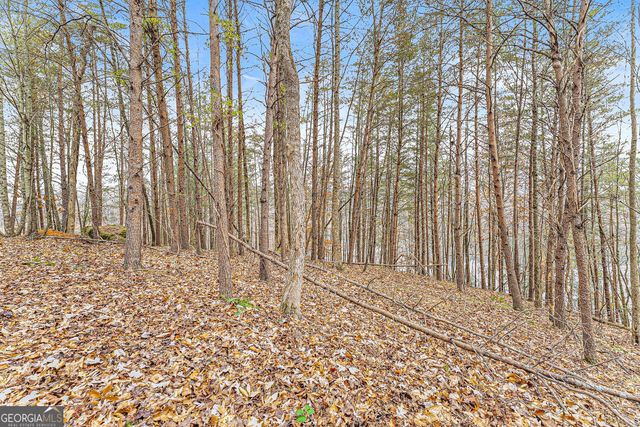 0 South Laceola Road, Cleveland, GA 30528