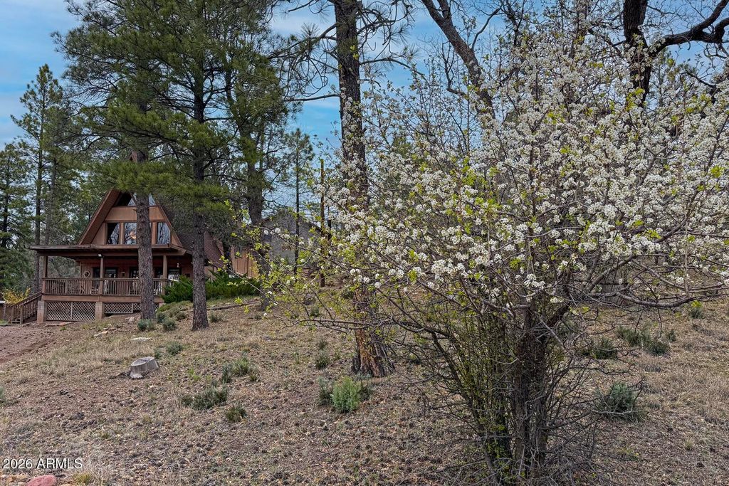 Image 51 of property listing at 477 S Morris Meadows --, Payson, AZ 85541