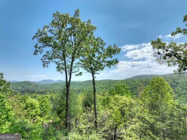 46 Cochise Road, Blue Ridge, GA 30513