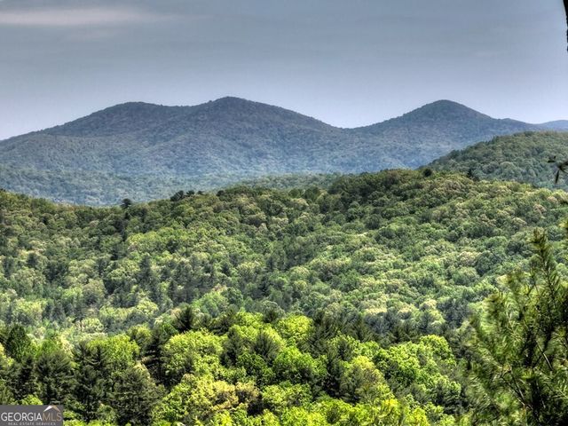 46 Cochise Road, Blue Ridge, GA 30513