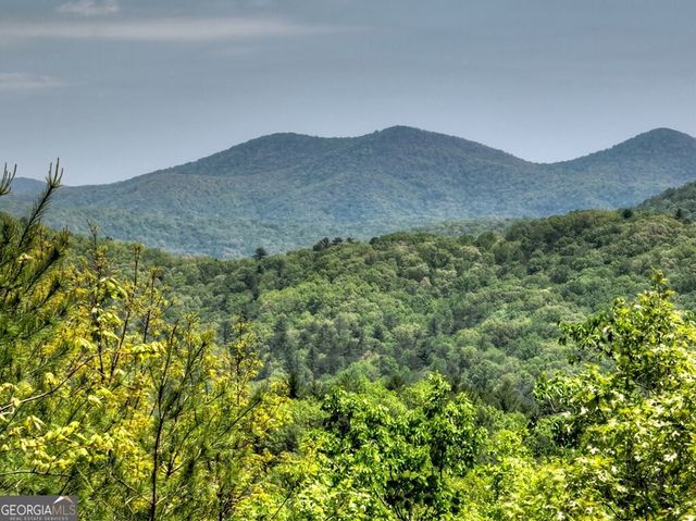 46 Cochise Road, Blue Ridge, GA 30513