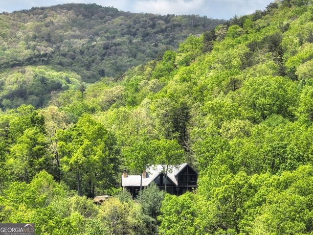 46 Cochise Road, Blue Ridge, GA 30513