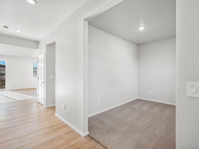 1206 Spring Creek Drive, Windsor, CO 80550