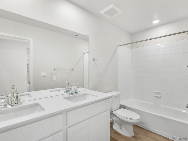 1206 Spring Creek Drive, Windsor, CO 80550