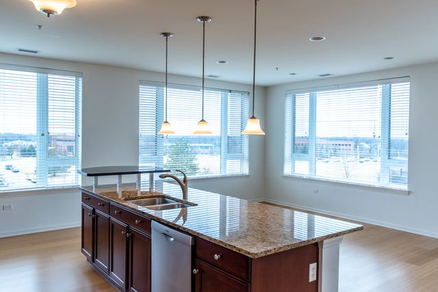 850 Village Center Drive 306, Burr Ridge, IL 60527