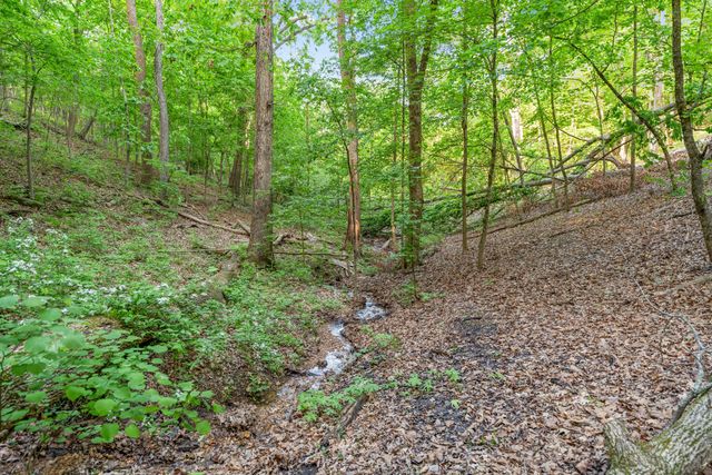 000 El Monte Road, Lot 3, Branson, MO 65616