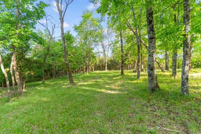 000 El Monte Road, Lot 3, Branson, MO 65616