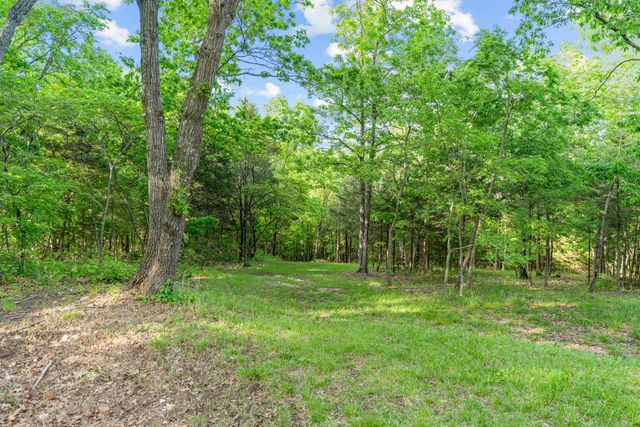 000 El Monte Road, Lot 3, Branson, MO 65616