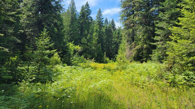NKN Bead Lake - Lot 5 Rd, Newport, WA 99156