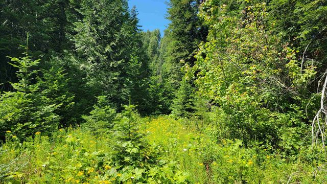 NKN Bead Lake - Lot 5 Rd, Newport, WA 99156