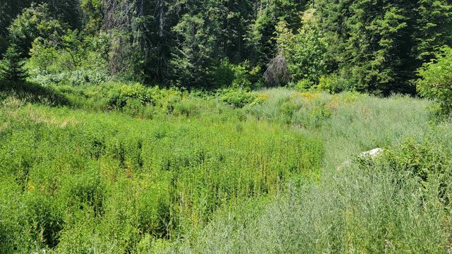NKN Bead Lake - Lot 5 Rd, Newport, WA 99156