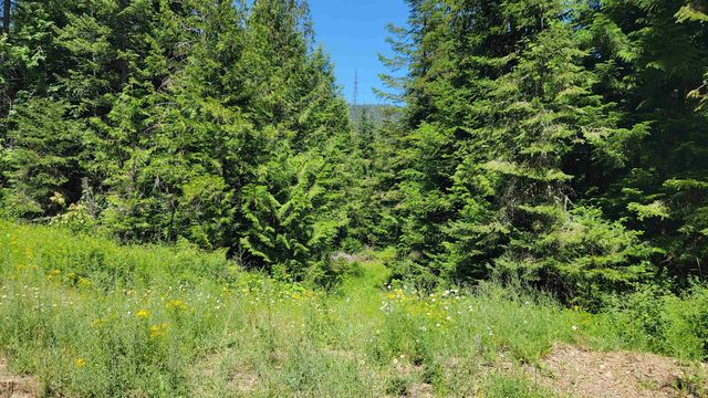 NKN Bead Lake - Lot 5 Rd, Newport, WA 99156