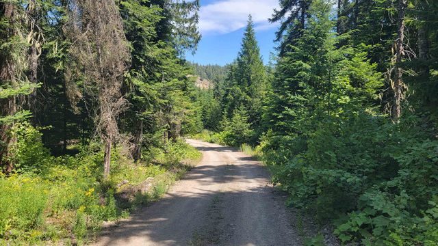 NKN Bead Lake - Lot 5 Rd, Newport, WA 99156