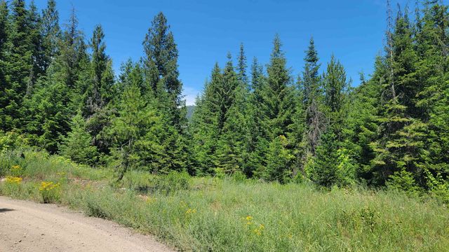 NKN Bead Lake - Lot 5 Rd, Newport, WA 99156