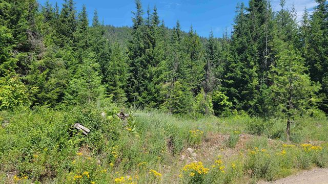 NKN Bead Lake - Lot 5 Rd, Newport, WA 99156