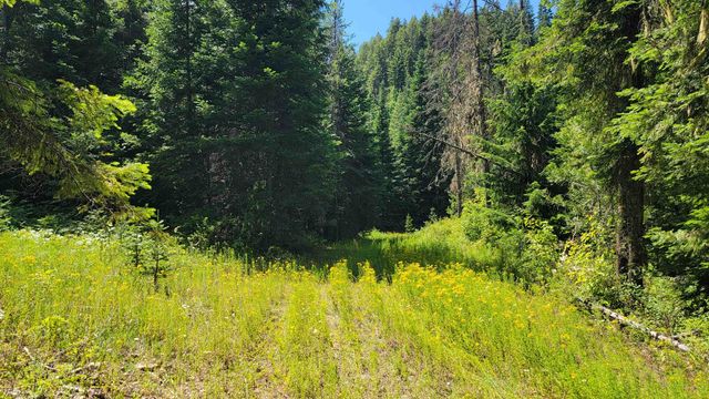 NKN Bead Lake - Lot 5 Rd, Newport, WA 99156