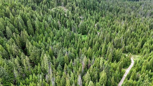 NKN Bead Lake - Lot 5 Rd, Newport, WA 99156