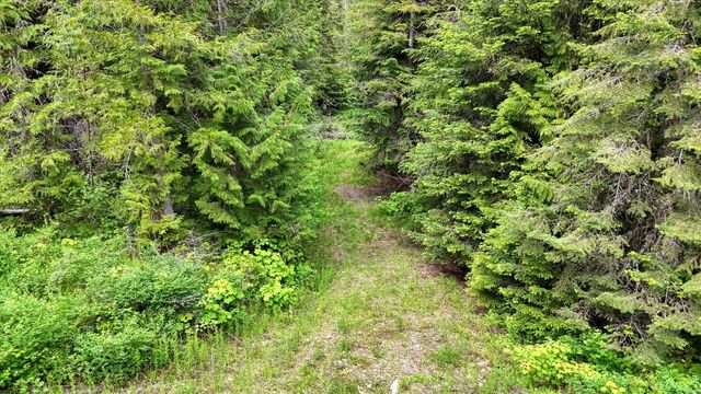 NKN Bead Lake - Lot 5 Rd, Newport, WA 99156