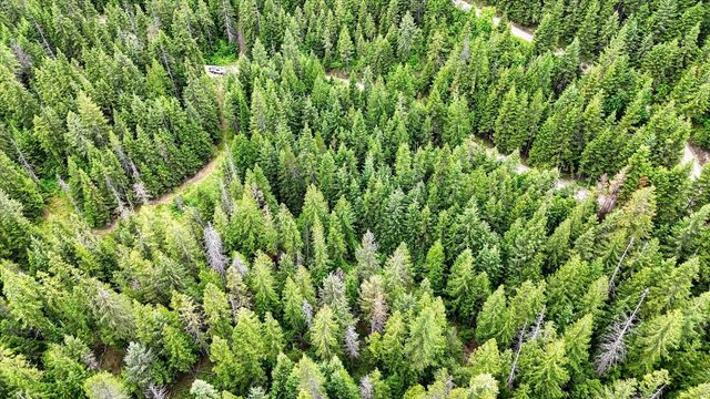 NKN Bead Lake - Lot 5 Rd, Newport, WA 99156