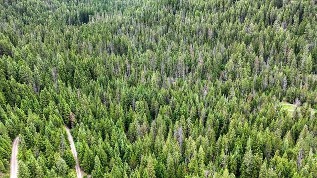 NKN Bead Lake - Lot 5 Rd, Newport, WA 99156