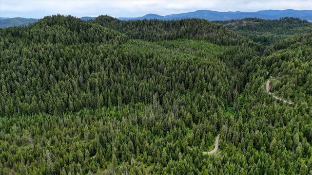 NKN Bead Lake - Lot 5 Rd, Newport, WA 99156