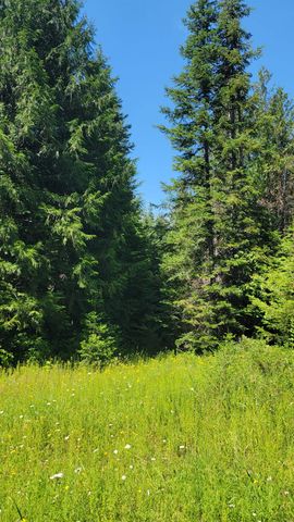NKN Bead Lake - Lot 5 Rd, Newport, WA 99156