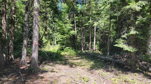 NKN Bead Lake - Lot 5 Rd, Newport, WA 99156