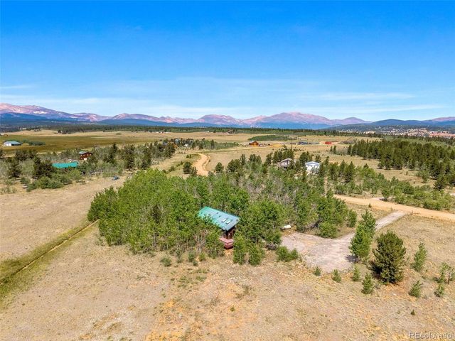 318 Foxtail Ln, Fairplay, CO 80440