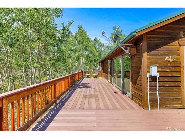 318 Foxtail Ln, Fairplay, CO 80440