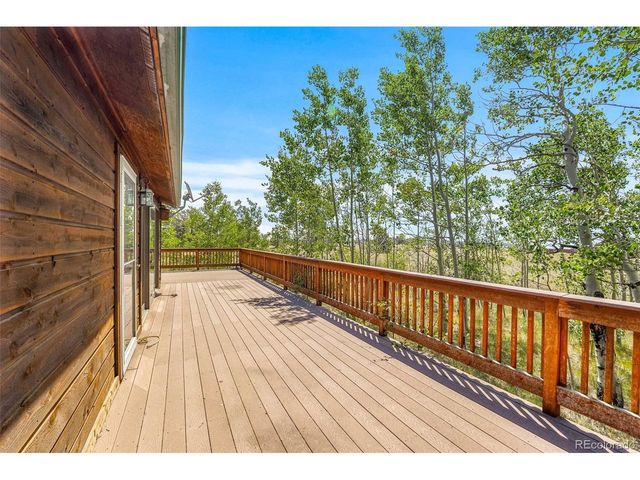 318 Foxtail Ln, Fairplay, CO 80440