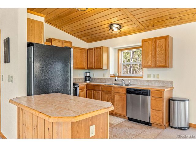 318 Foxtail Ln, Fairplay, CO 80440