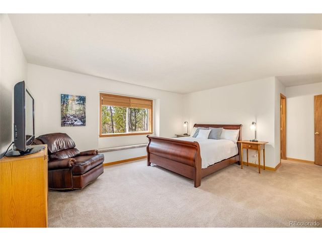 318 Foxtail Ln, Fairplay, CO 80440