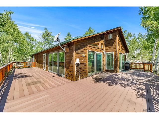 318 Foxtail Ln, Fairplay, CO 80440