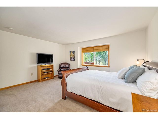 318 Foxtail Ln, Fairplay, CO 80440