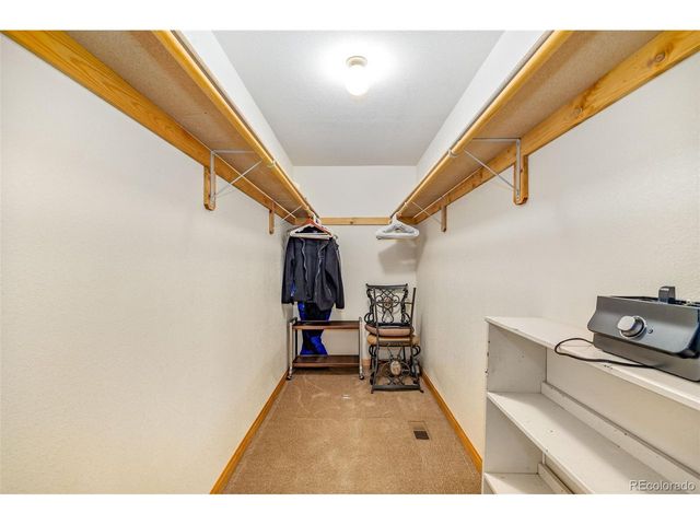 318 Foxtail Ln, Fairplay, CO 80440