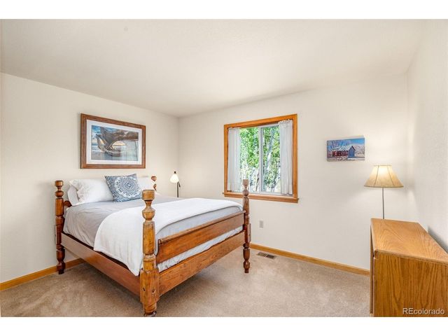 318 Foxtail Ln, Fairplay, CO 80440