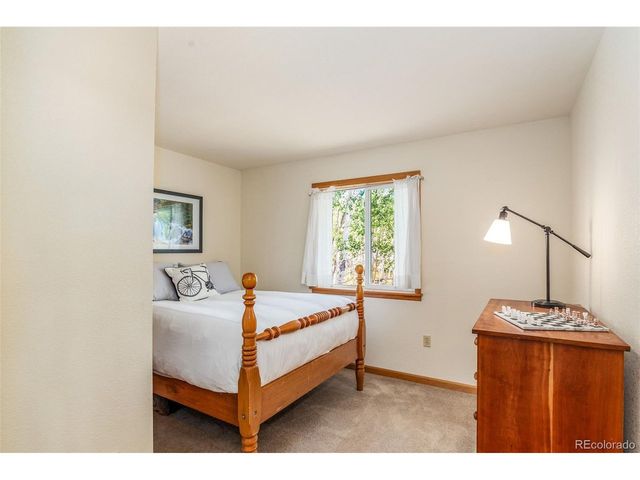 318 Foxtail Ln, Fairplay, CO 80440