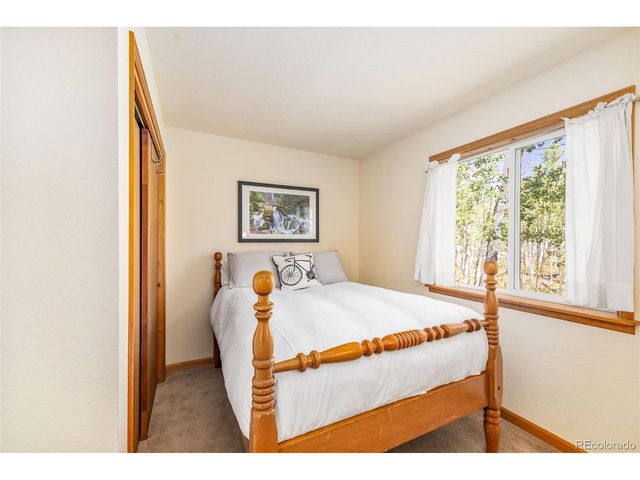 318 Foxtail Ln, Fairplay, CO 80440