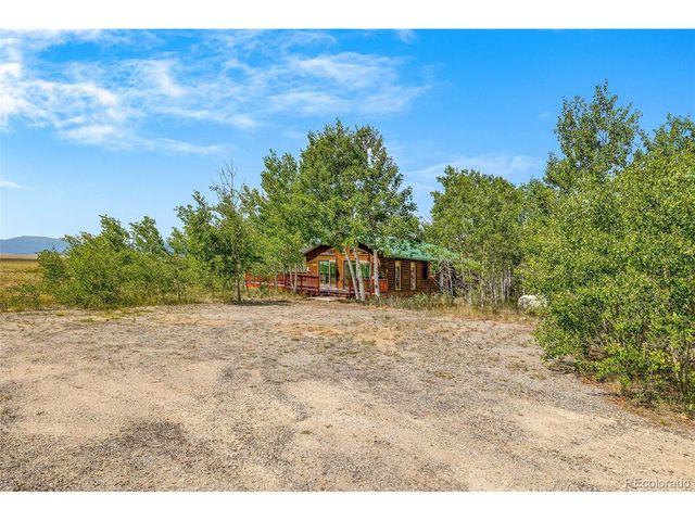 318 Foxtail Ln, Fairplay, CO 80440