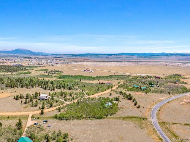 318 Foxtail Ln, Fairplay, CO 80440