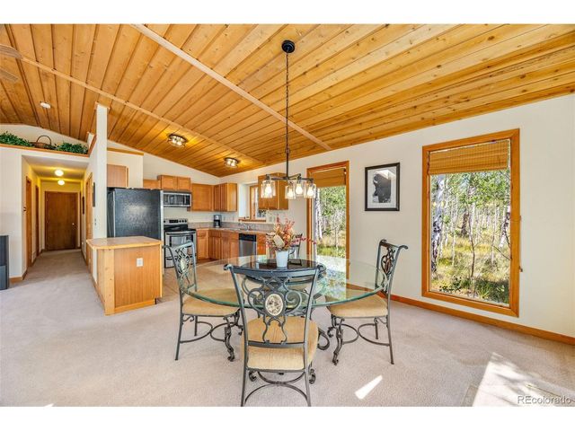 318 Foxtail Ln, Fairplay, CO 80440