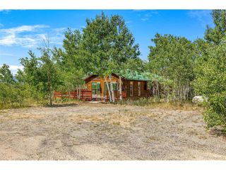 318 Foxtail Ln, Fairplay, CO 80440