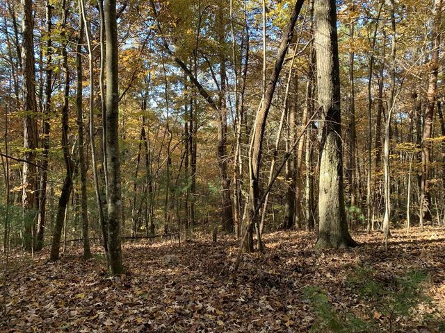 9 Dover Falls Trail, Ellijay, GA 30540