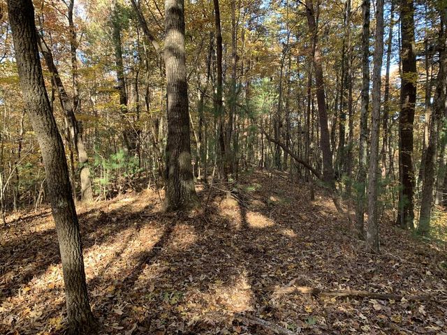 9 Dover Falls Trail, Ellijay, GA 30540