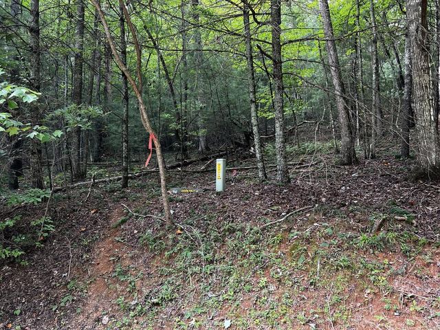9 Dover Falls Trail, Ellijay, GA 30540
