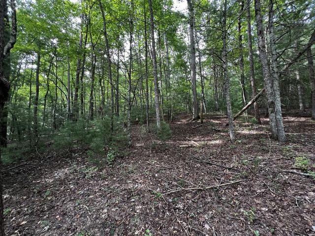 9 Dover Falls Trail, Ellijay, GA 30540