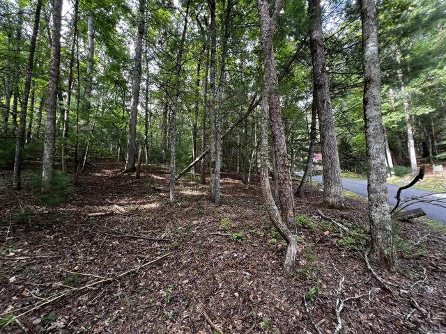9 Dover Falls Trail, Ellijay, GA 30540