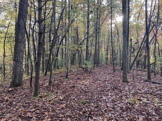9 Dover Falls Trail, Ellijay, GA 30540