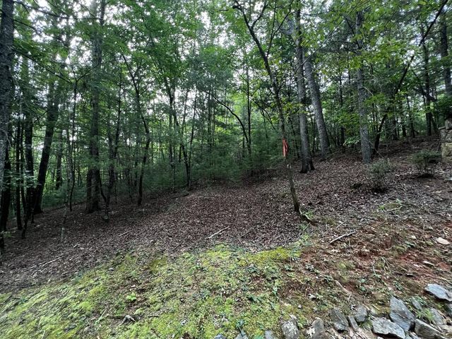 9 Dover Falls Trail, Ellijay, GA 30540