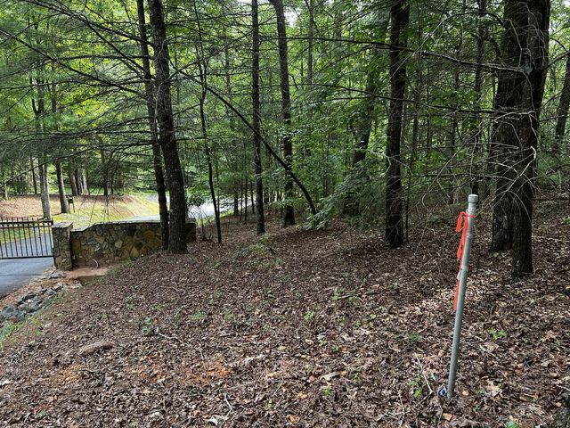 9 Dover Falls Trail, Ellijay, GA 30540